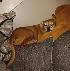 Meet your Posher, Shelly